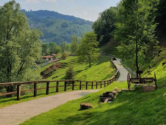 Percorso aromatico nella natura