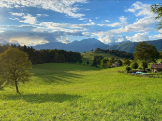 Pic-nic tra i boschi di Falecchio