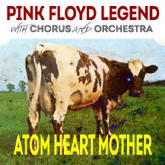 pink floyd atom biglietti 2