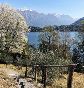 Passeggia e assaggia