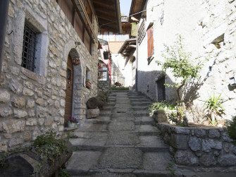 Arte e buoi dei paesi tuoi