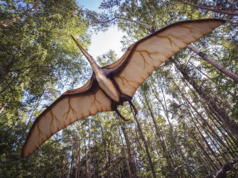 La baia degli Pterosauri