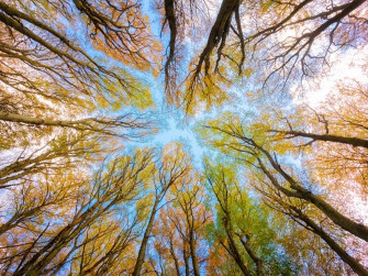 Renova: un progetto di natura in movimento