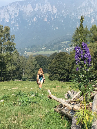 Snowrun Resinelli