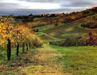 Il trekking dei vigneti