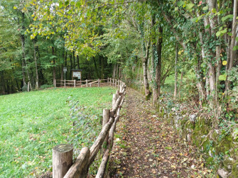La via delle castagna_Zogno