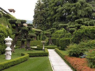 Visite guidate alla Fondazione Zani