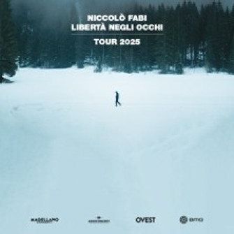 niccolo fabi biglietti