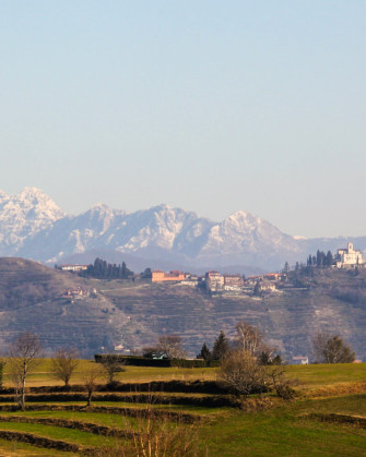 La vedova allegra