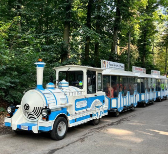 trenino parco