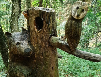 Il bosco d'estate - Escursione e disegno all'aperto