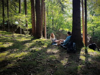 Forest Bathing 