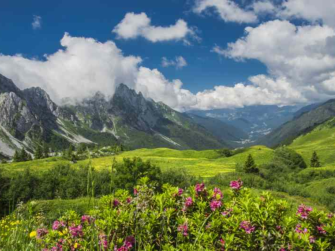 Apertura strada EXSS 294 fino a località Cimalbosco