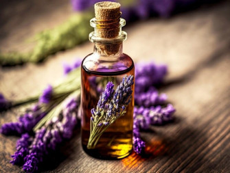 Lavanda: proprietà terapeutiche e benessere naturale