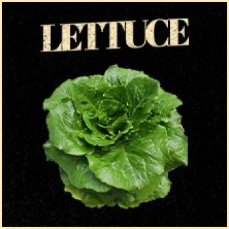 lettuce biglietti