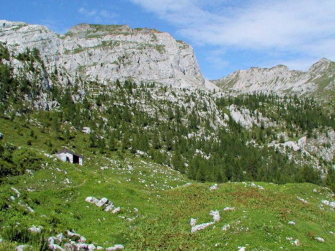 Le bellezze della Val Conchetta Le bellezze della Val Conchetta
