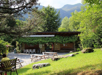 C'era una volta il bosco...