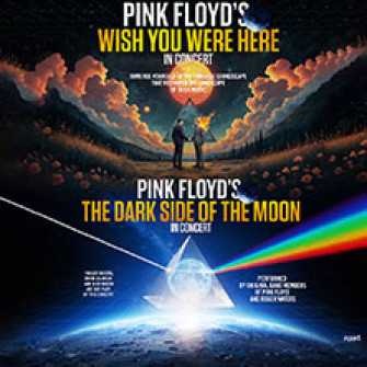 pink floyd wish dark biglietti pink floyd wish dark biglietti