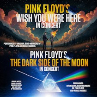 pink floyd wish dark biglietti 3 pink floyd wish dark biglietti 3