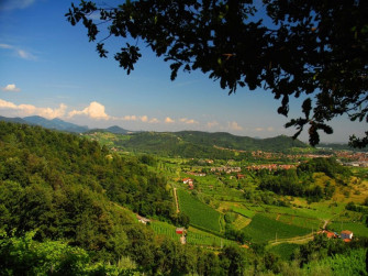 Itinerario in e-bike: dalla bici al bicchiere Itinerario in e-bike: dalla bici al bicchiere