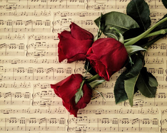 Il Grande in Provincia - Recital d'Opera