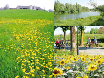 Tradizioni e sapori nella Bassa Bresciana 
