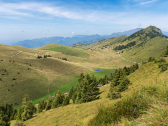 A levar l'ombra da terra: "Radici e racconti" A levar l'ombra da terra: "Radici e racconti"