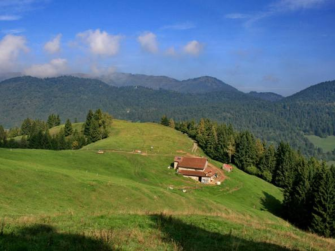 Camminata "Respiro nel Bosco"