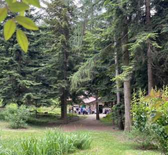 Ferragosto nel verde a Pietra Corva