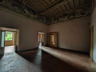 Concilium Concilium
