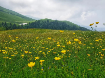 Settimane della Montagna, 12ª giornata