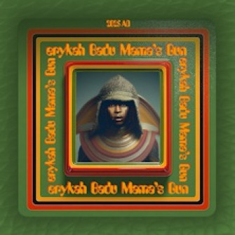erykah badu biglietti 2