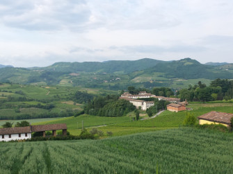 La culla del Pinot nero