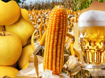 Esperienza "Alla scoperta del giallo"
