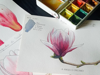 Corso "Dipingere piante, fiori e erbe"