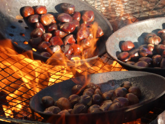 Chestnut Fest - Domaso
