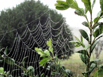 Le meraviglie della natura attraverso gli occhi del "Mago" di Colere