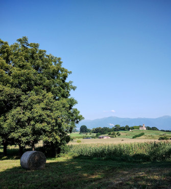 Mercatini natalizi Mercatini natalizi