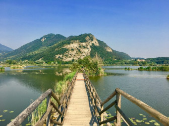 Licenza: CC0 | Crediti: CC0