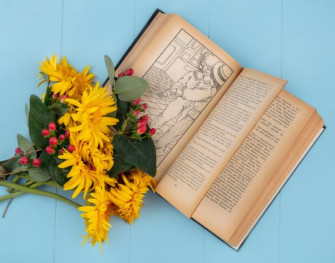 Licenza: CC0 | Crediti: CC0