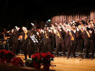 Licenza: CC0 | Crediti: CC0