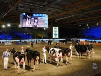 Fiere Zootecniche Internazionali