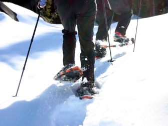 Licenza: CC0 | Crediti: CC0