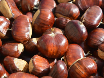 Licenza: CC0 | Crediti: CC0