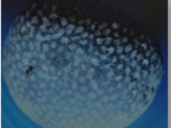 Licenza: CC0 | Crediti: CC0