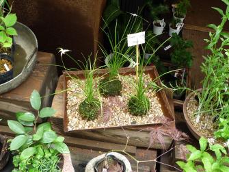 Laboratorio didattico