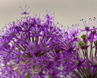 Laboratorio didattico