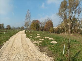 Terre in movimento - Esperienze di turismo attivo nella Bassa Bresciana