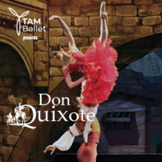 don chisciotte tamballet biglietti 2