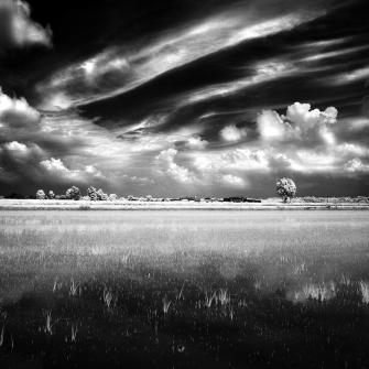 Campagne del Riso -ph: Argentiero